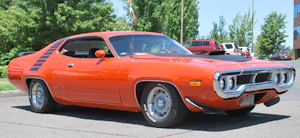 Johnson Roadrunner