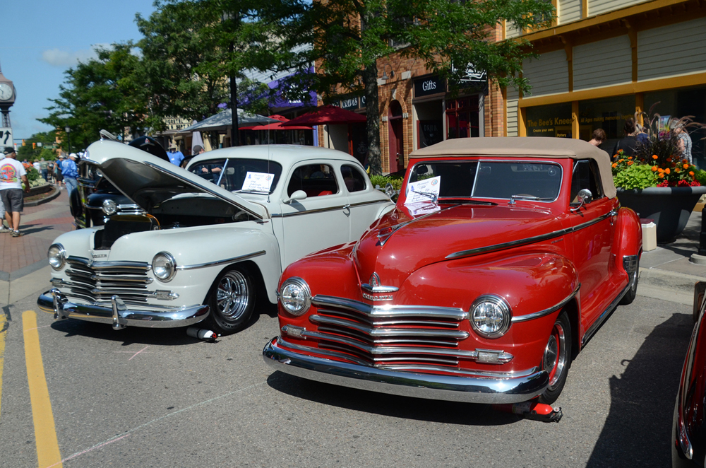 5 DSC_8828