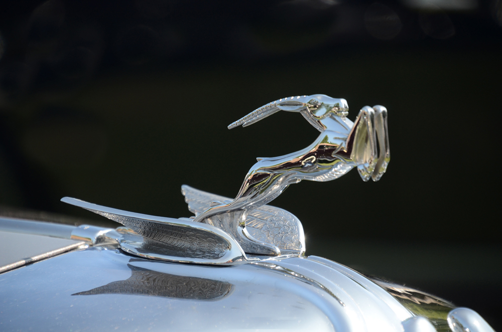 6 DSC_9353 b