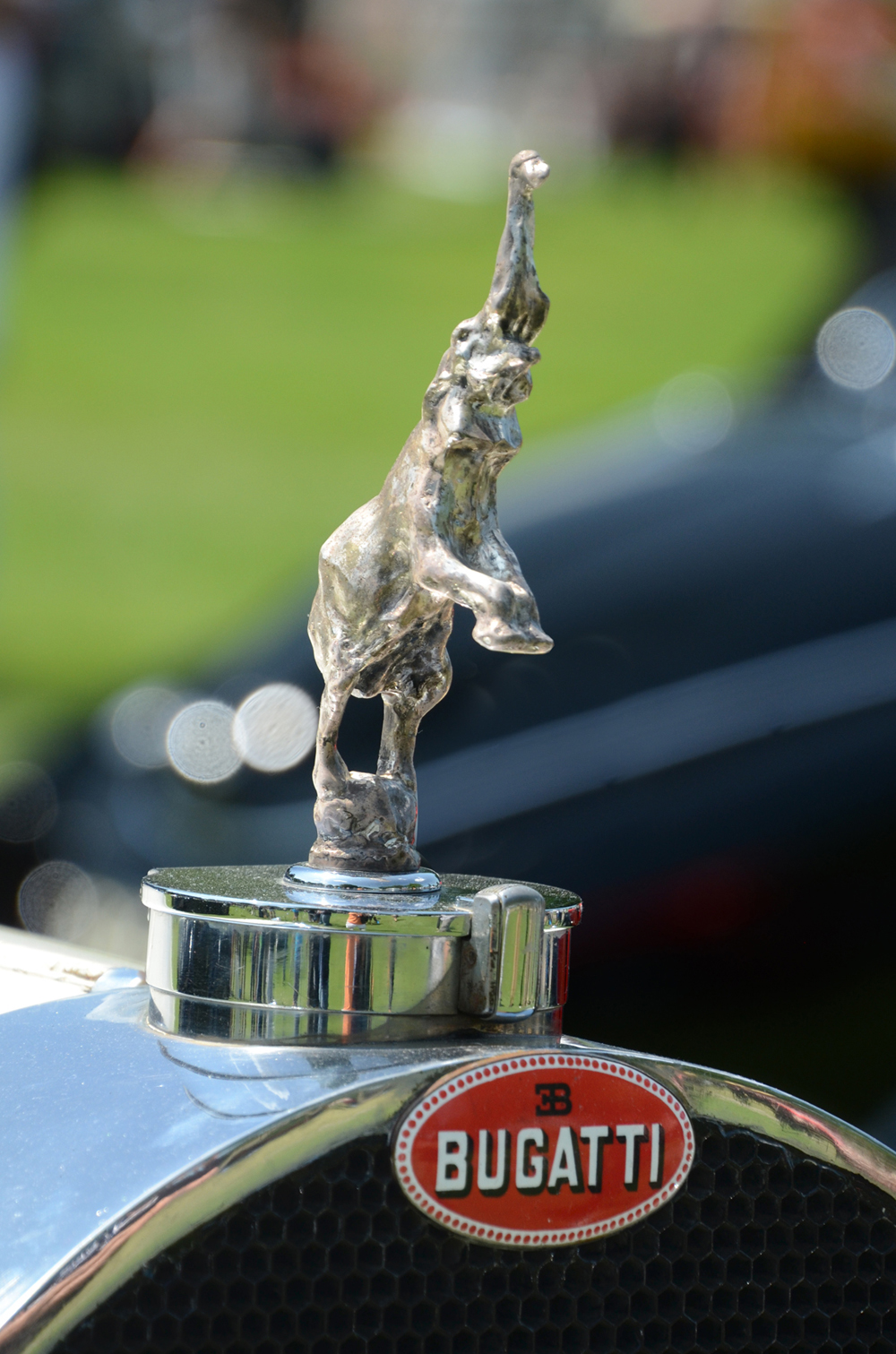 6 DSC_9460