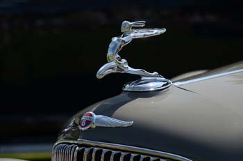 6 DSC_9325 b